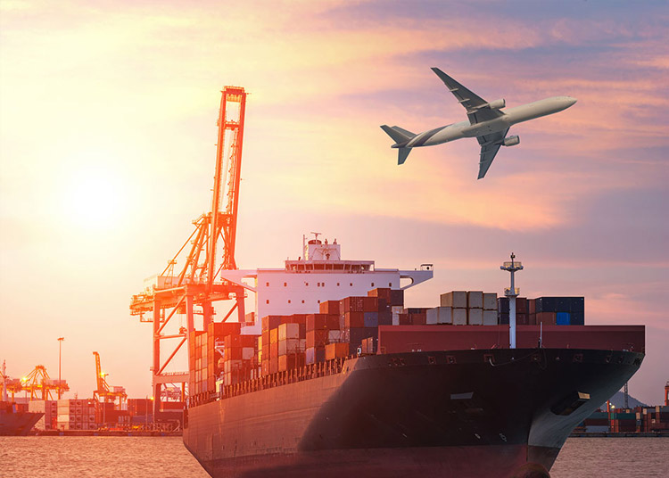 Bahçe Çit ve Bahçe Panjur Üretimi ve Montaj